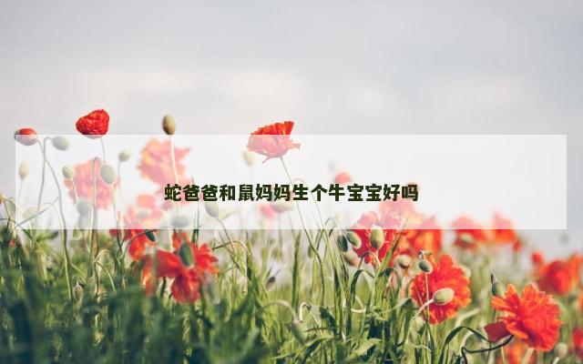 蛇爸爸和鼠妈妈生个牛宝宝好吗
