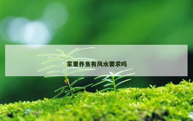 家里养鱼有风水要求吗