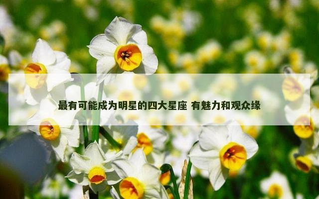 最有可能成为明星的四大星座 有魅力和观众缘