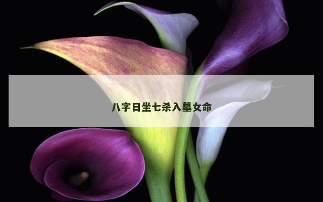 八字日坐七杀入墓女命
