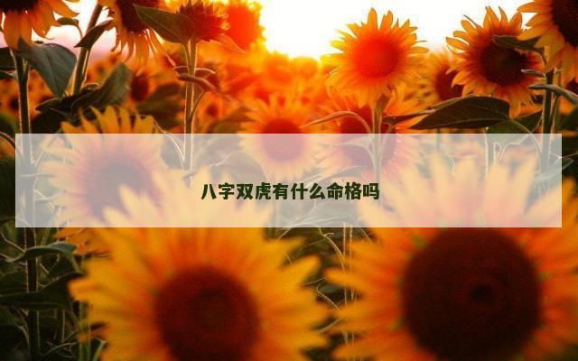 八字双虎有什么命格吗