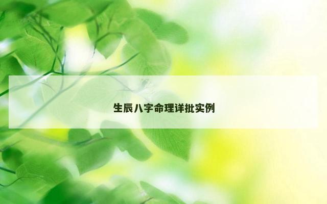 生辰八字命理详批实例