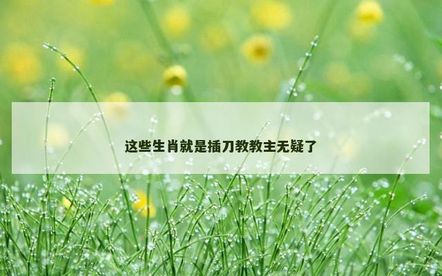 这些生肖就是插刀教教主无疑了