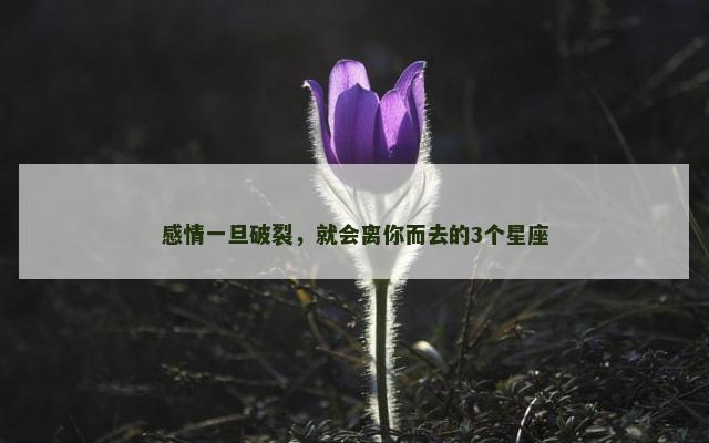 感情一旦破裂，就会离你而去的3个星座
