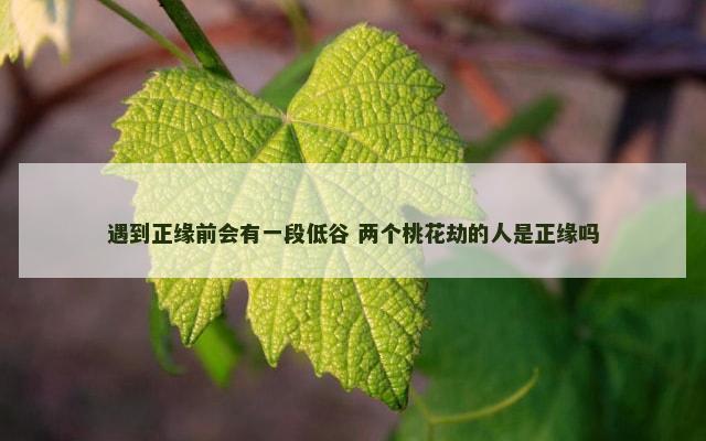 遇到正缘前会有一段低谷 两个桃花劫的人是正缘吗