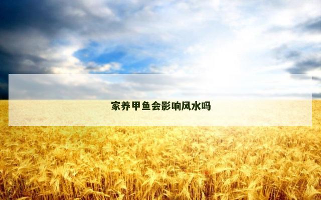 家养甲鱼会影响风水吗