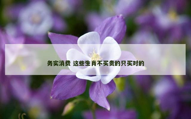 务实消费 这些生肖不买贵的只买对的