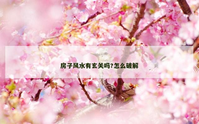 房子风水有玄关吗?怎么破解