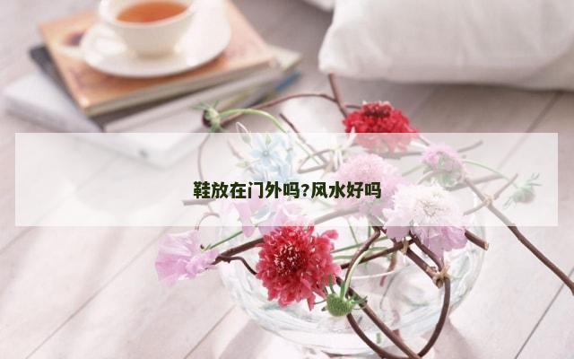 鞋放在门外吗?风水好吗