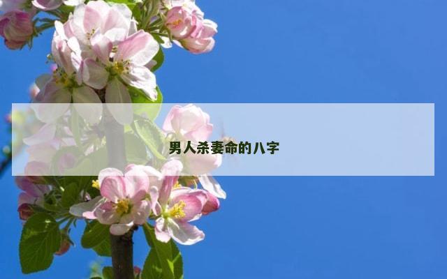 男人杀妻命的八字