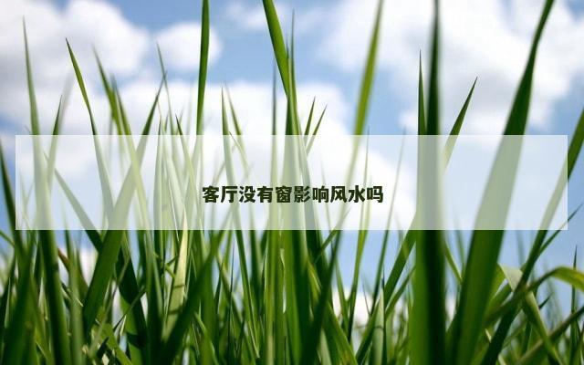 客厅没有窗影响风水吗