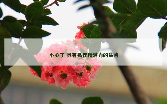 小心了 具有狐狸精潜力的生肖