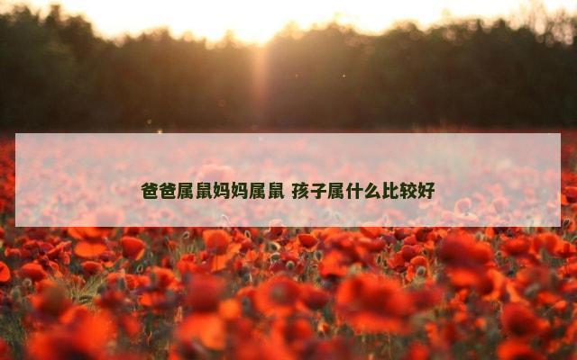 爸爸属鼠妈妈属鼠 孩子属什么比较好