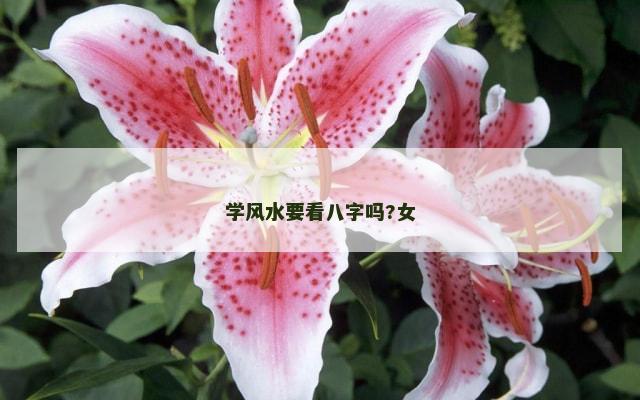 学风水要看八字吗?女