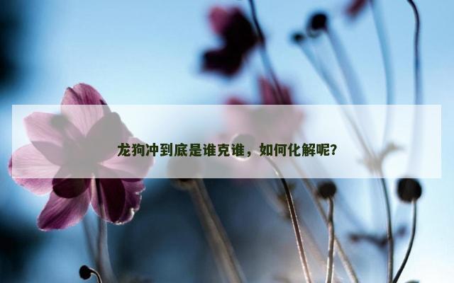 龙狗冲到底是谁克谁，如何化解呢？