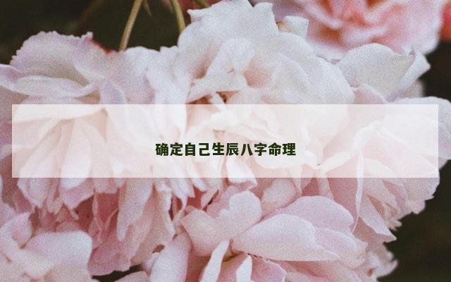 确定自己生辰八字命理