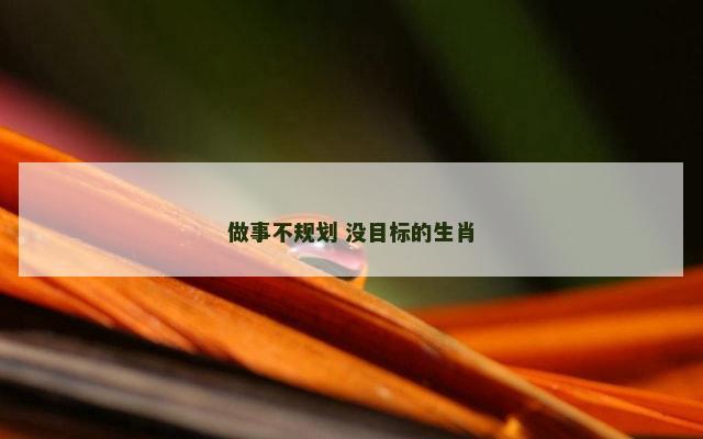 做事不规划 没目标的生肖