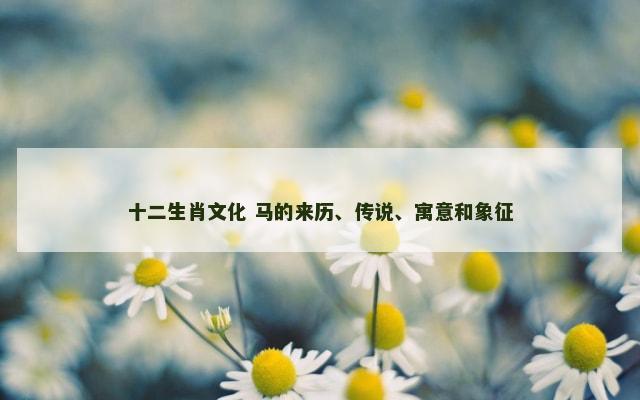 十二生肖文化 马的来历、传说、寓意和象征