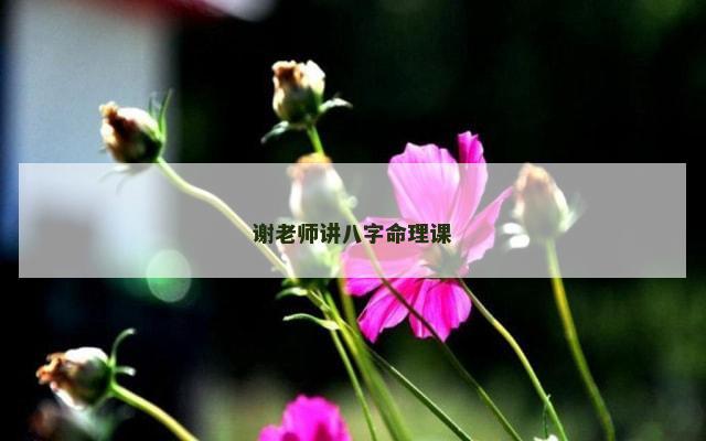谢老师讲八字命理课
