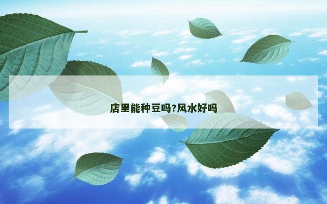 店里能种豆吗?风水好吗