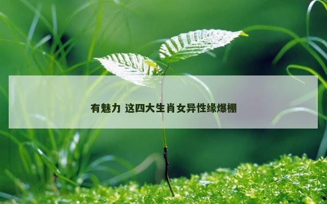 有魅力 这四大生肖女异性缘爆棚