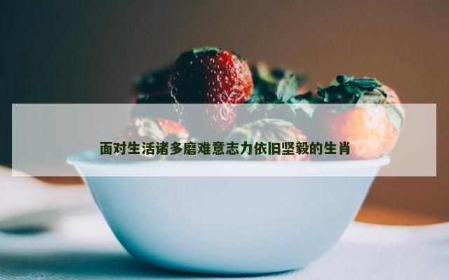 面对生活诸多磨难意志力依旧坚毅的生肖