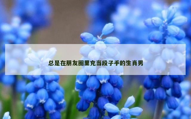 总是在朋友圈里充当段子手的生肖男