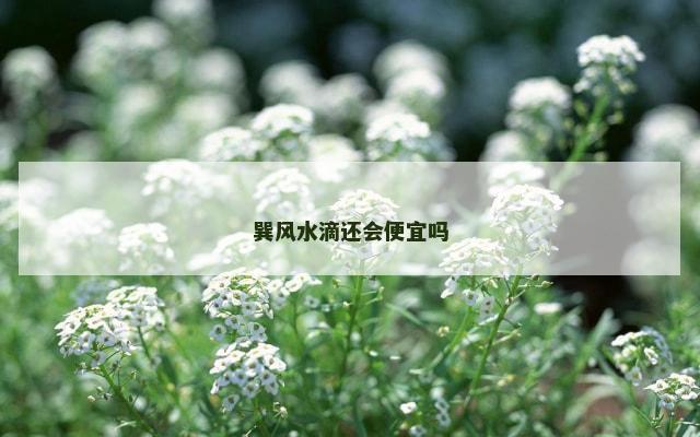巽风水滴还会便宜吗