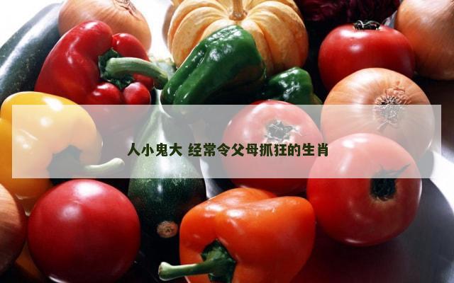 人小鬼大 经常令父母抓狂的生肖