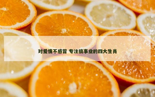对爱情不感冒 专注搞事业的四大生肖