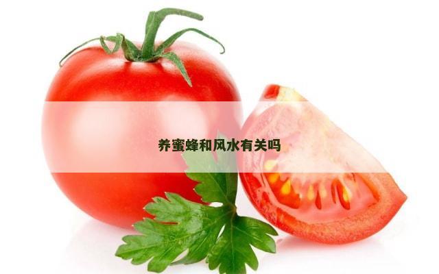 养蜜蜂和风水有关吗