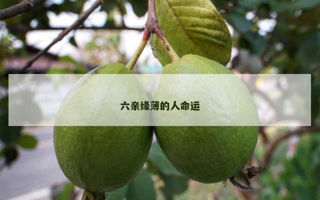六亲缘薄的人命运