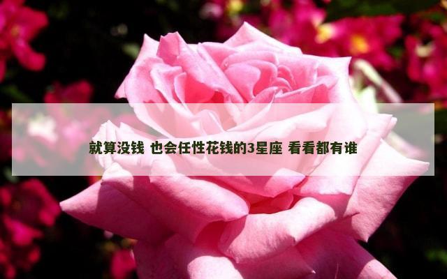 就算没钱 也会任性花钱的3星座 看看都有谁