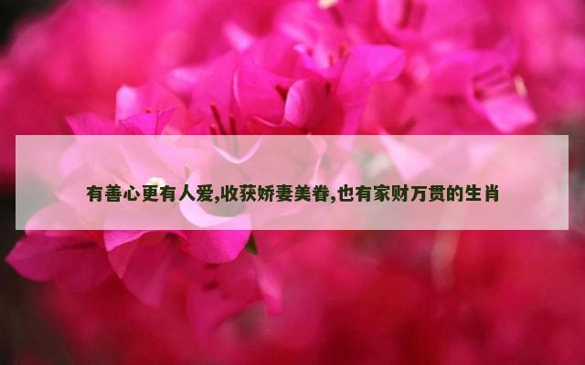 有善心更有人爱,收获娇妻美眷,也有家财万贯的生肖