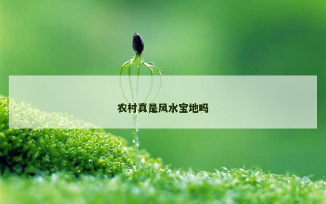 农村真是风水宝地吗