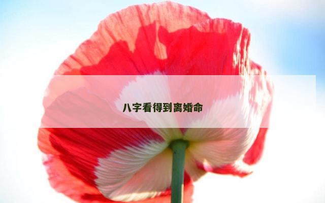 八字看得到离婚命