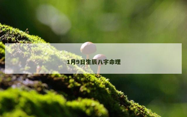 1月9日生辰八字命理