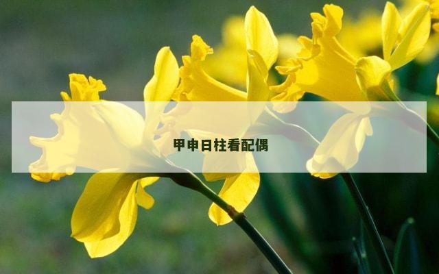 甲申日柱看配偶