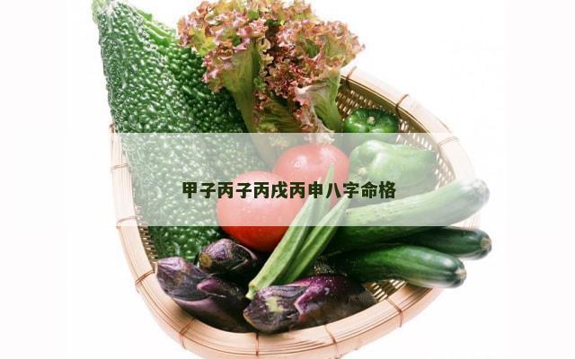 甲子丙子丙戌丙申八字命格