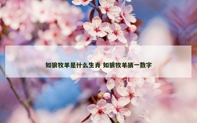如狼牧羊是什么生肖 如狼牧羊猜一数字
