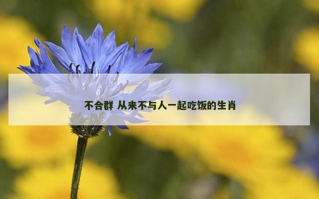 不合群 从来不与人一起吃饭的生肖