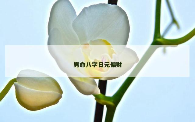 男命八字日元偏财