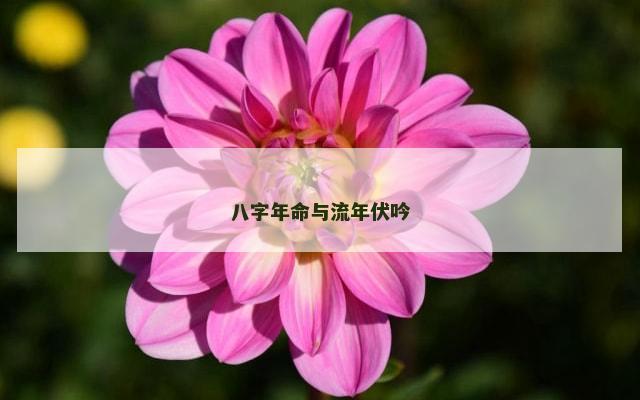 八字年命与流年伏吟