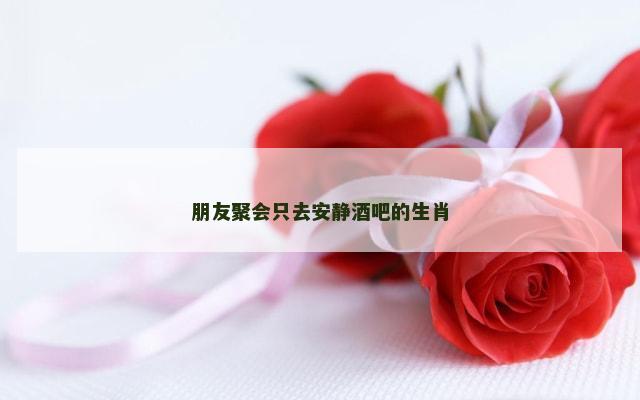 朋友聚会只去安静酒吧的生肖