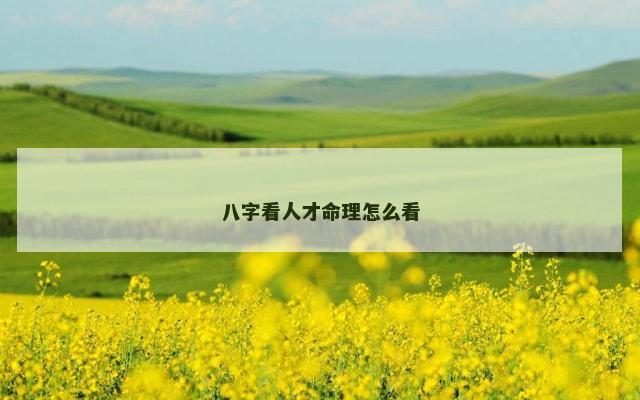 八字看人才命理怎么看