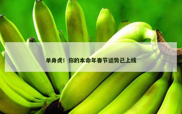 单身虎！你的本命年春节运势已上线