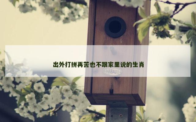 出外打拼再苦也不跟家里说的生肖