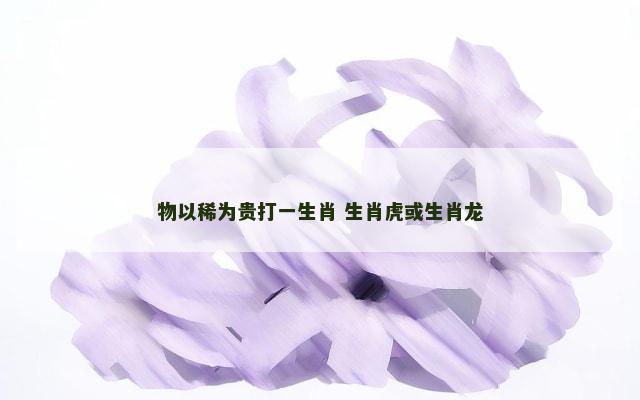 物以稀为贵打一生肖 生肖虎或生肖龙