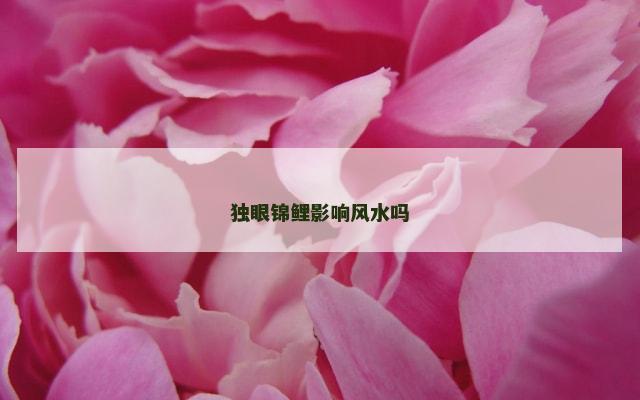 独眼锦鲤影响风水吗