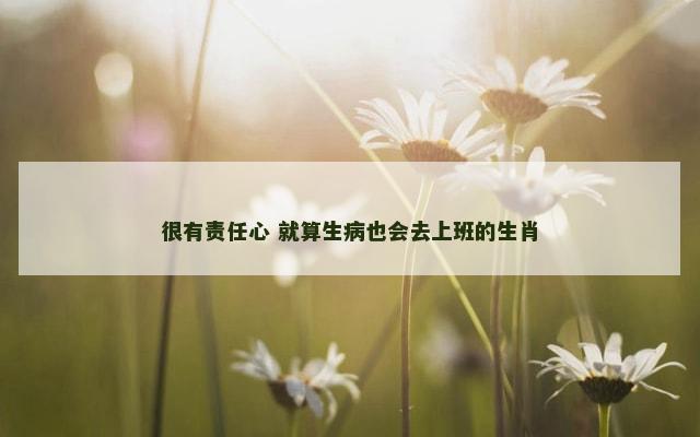 很有责任心 就算生病也会去上班的生肖